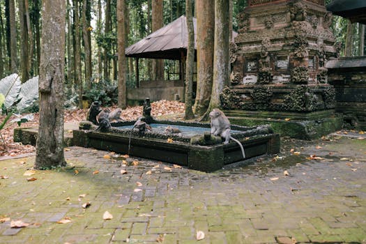 Bask in Jungle Serenity at Capella Ubud, Bali
