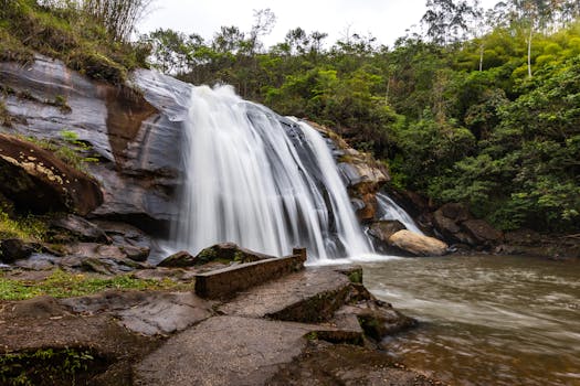 Marvel beside Forest Silence at Anavilhanas Jungle Lodge, Brazil