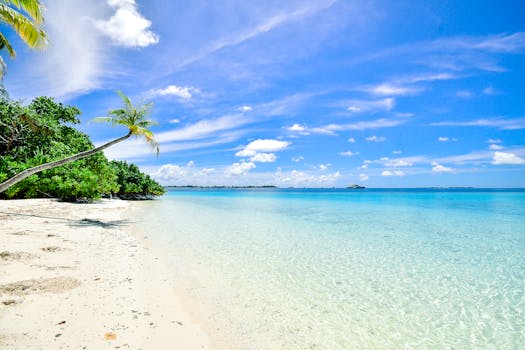 Observe Coral Sanctuary at Milaidhoo Island, Maldives