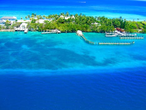 Observe Tropical Whispers at Tiamo Resort, Bahamas
