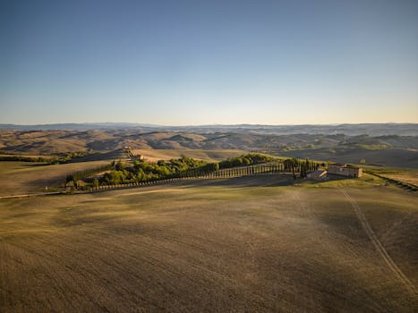 Observe Vineyard Viewpoints at Castello Banfi Il Borgo, Italy