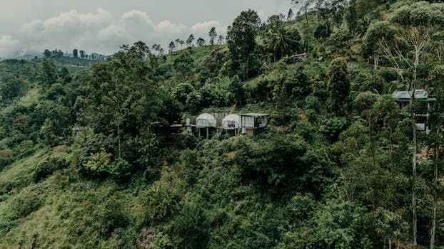 Taste Rainforest Zest at Uga Jungle Beach, Sri Lanka