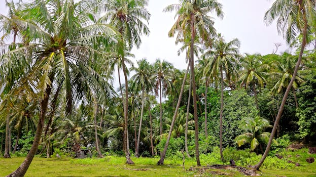 Wander through Island Whisper at Bawah Reserve, Indonesia