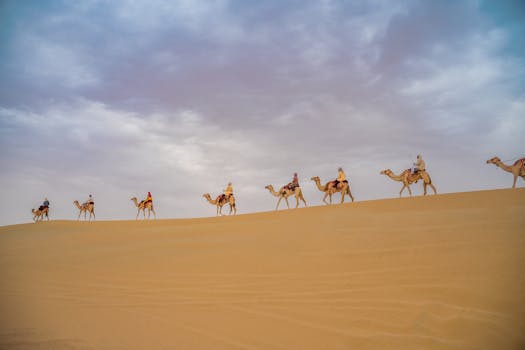 Hotels Offering Unforgettable Desert Experiences