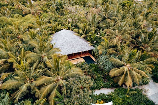 Secluded Villas for the Ultimate Escape