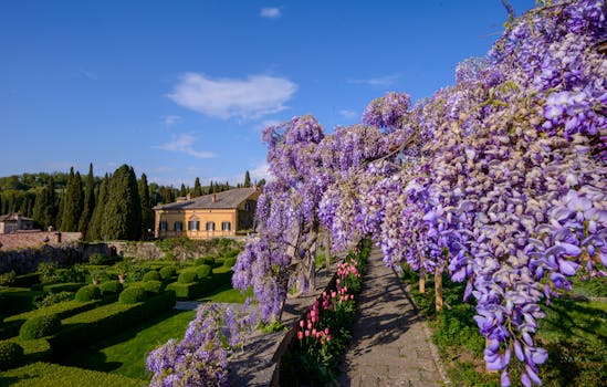Top Villas in Tuscany for a Romantic Stay